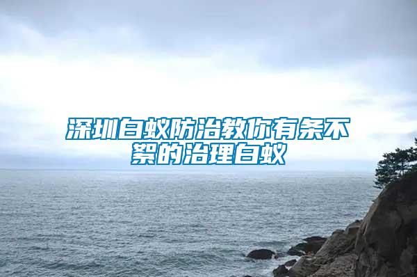 深圳白蟻防治教你有條不絮的治理白蟻