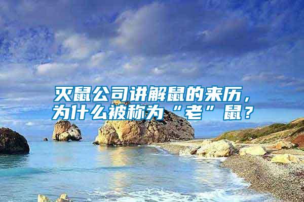 滅鼠公司講解鼠的來歷，為什么被稱為“老”鼠？