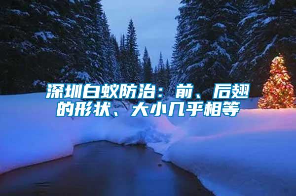 深圳白蟻防治：前、后翅的形狀、大小幾乎相等