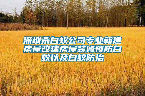 深圳殺白蟻公司專業新建房屋改建房屋裝修預防白蟻以及白蟻防治