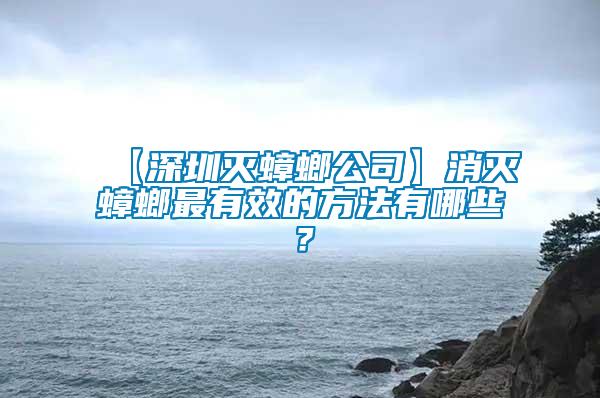 【深圳滅蟑螂公司】消滅蟑螂最有效的方法有哪些？