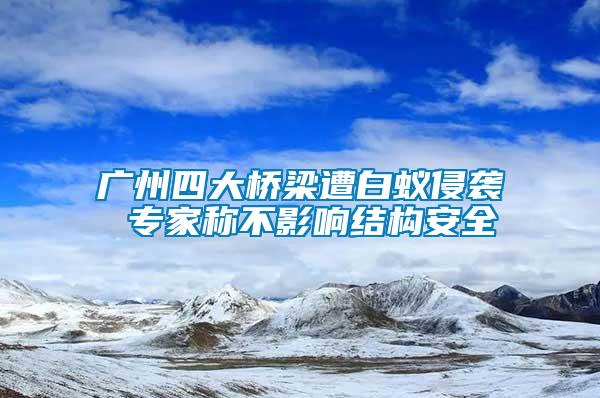 廣州四大橋梁遭白蟻侵襲 專家稱不影響結構安全