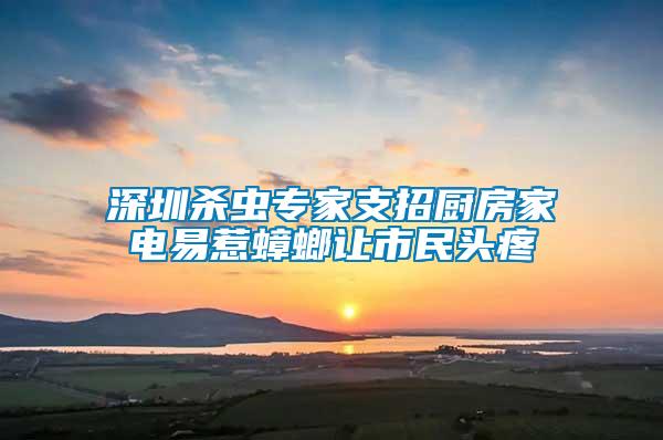 深圳殺蟲專家支招廚房家電易惹蟑螂讓市民頭疼