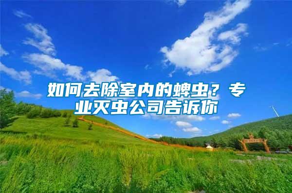 如何去除室內的蜱蟲？專業滅蟲公司告訴你