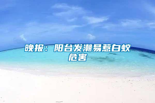 晚報：陽臺發潮易惹白蟻危害