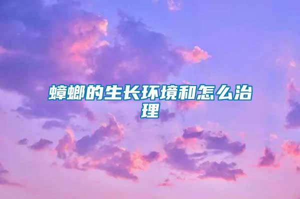 蟑螂的生長環境和怎么治理