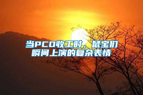 當PCO收工時，鼠寶們瞬間上演的復雜表情