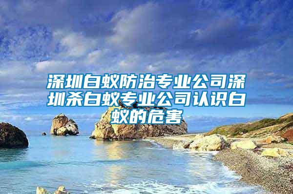 深圳白蟻防治專業公司深圳殺白蟻專業公司認識白蟻的危害