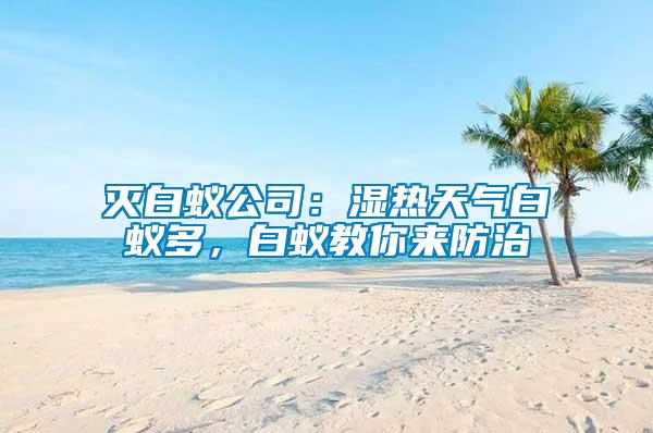 滅白蟻公司：濕熱天氣白蟻多，白蟻教你來防治