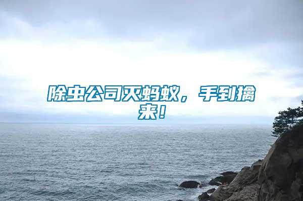 除蟲公司滅螞蟻，手到擒來！