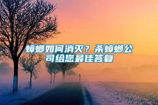 蟑螂如何消滅？殺蟑螂公司給您最佳答復