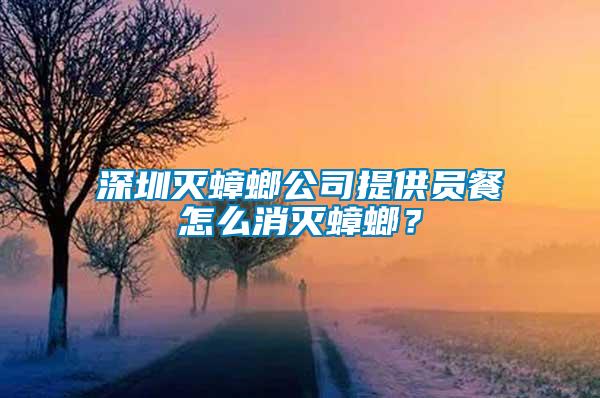 深圳滅蟑螂公司提供員餐怎么消滅蟑螂？