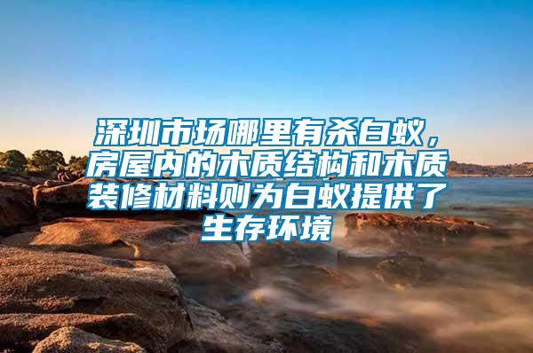 深圳市場哪里有殺白蟻，房屋內的木質結構和木質裝修材料則為白蟻提供了生存環境