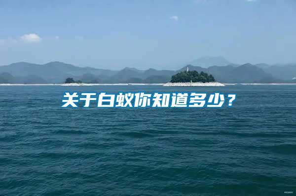 關于白蟻你知道多少？