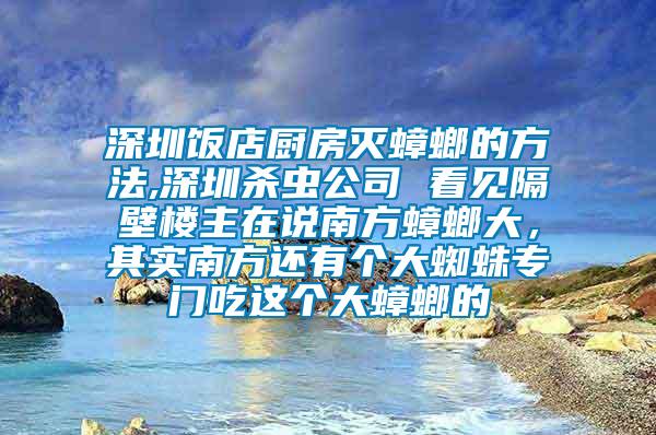 深圳飯店廚房滅蟑螂的方法,深圳殺蟲公司 看見隔壁樓主在說南方蟑螂大，其實南方還有個大蜘蛛專門吃這個大蟑螂的