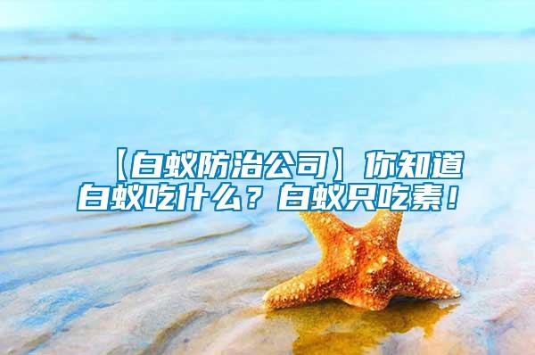 【白蟻防治公司】你知道白蟻吃什么？白蟻只吃素！