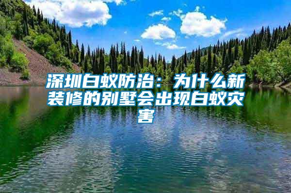 深圳白蟻防治：為什么新裝修的別墅會出現白蟻災害