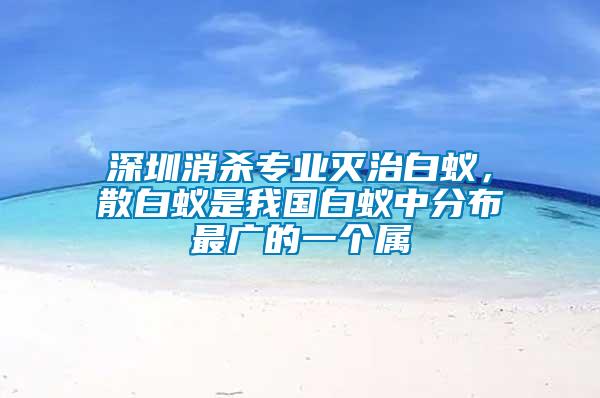 深圳消殺專業滅治白蟻，散白蟻是我國白蟻中分布最廣的一個屬