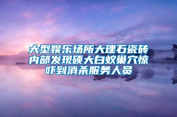 大型娛樂場所大理石瓷磚內部發現碩大白蟻巢穴驚嚇到消殺服務人員