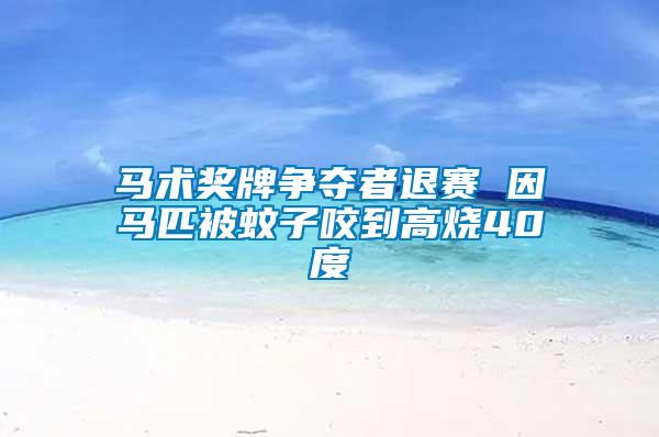 馬術獎牌爭奪者退賽 因馬匹被蚊子咬到高燒40度