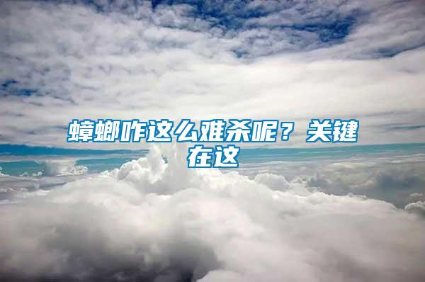 蟑螂咋這么難殺呢？關鍵在這