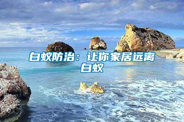 白蟻防治：讓你家居遠離白蟻