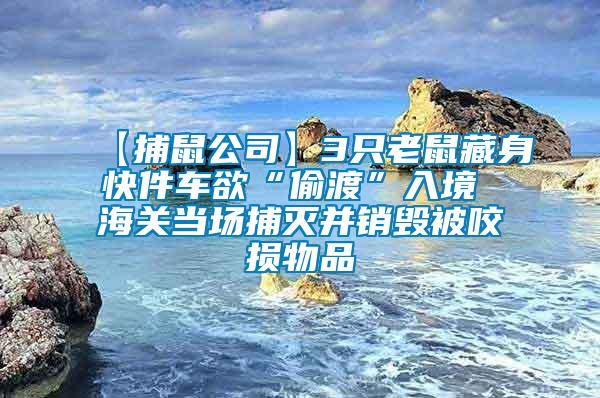 【捕鼠公司】3只老鼠藏身快件車欲“偷渡”入境 海關當場捕滅并銷毀被咬損物品