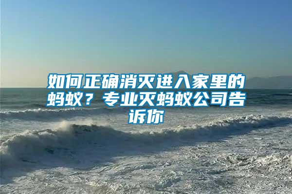 如何正確消滅進入家里的螞蟻？專業滅螞蟻公司告訴你