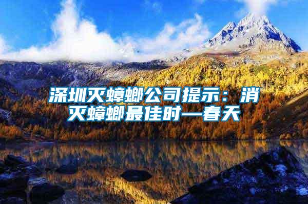 深圳滅蟑螂公司提示：消滅蟑螂最佳時—春天