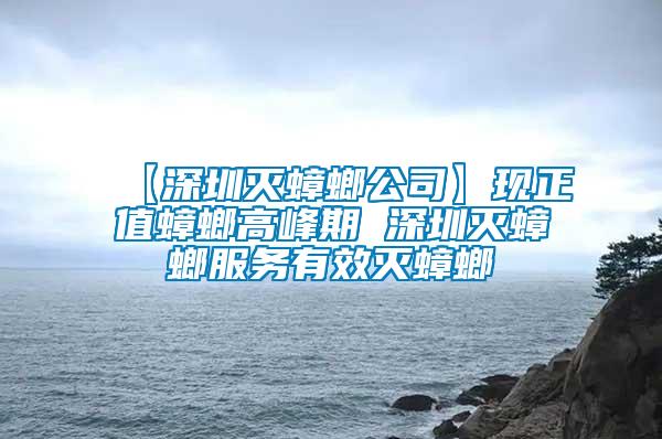 【深圳滅蟑螂公司】現正值蟑螂高峰期 深圳滅蟑螂服務有效滅蟑螂