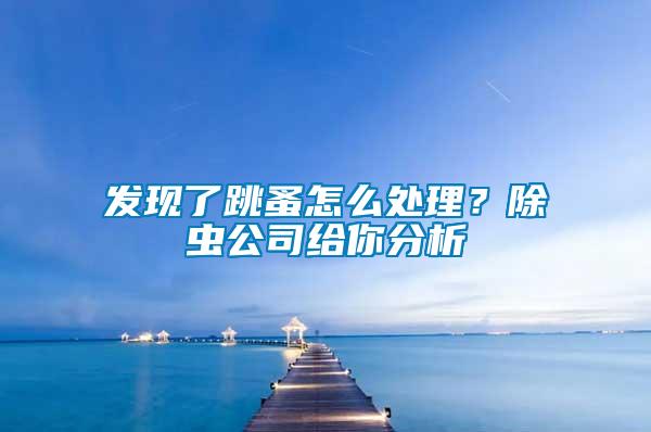 發現了跳蚤怎么處理？除蟲公司給你分析