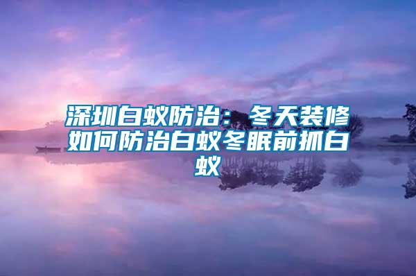 深圳白蟻防治：冬天裝修如何防治白蟻冬眠前抓白蟻