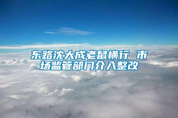 東路沈大成老鼠橫行 市場監管部門介入整改