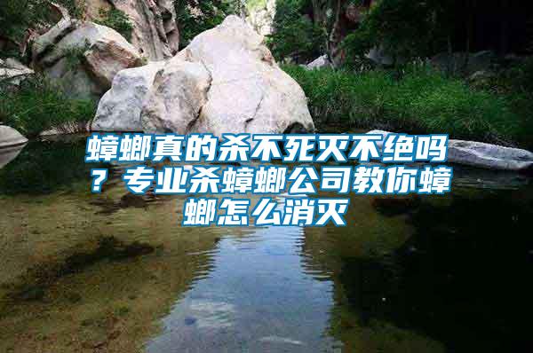 蟑螂真的殺不死滅不絕嗎？專業殺蟑螂公司教你蟑螂怎么消滅