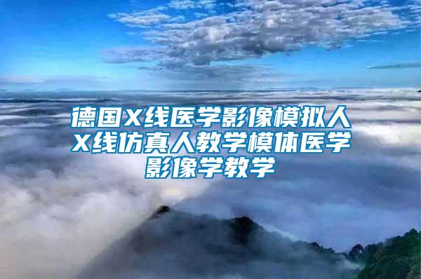 德國X線醫學影像模擬人X線仿真人教學模體醫學影像學教學