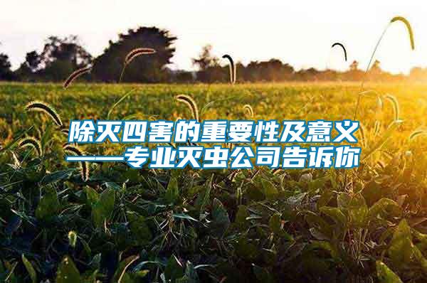 除滅四害的重要性及意義——專業滅蟲公司告訴你