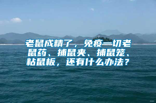 老鼠成精了，免疫一切老鼠藥、捕鼠夾、捕鼠籠、粘鼠板，還有什么辦法？