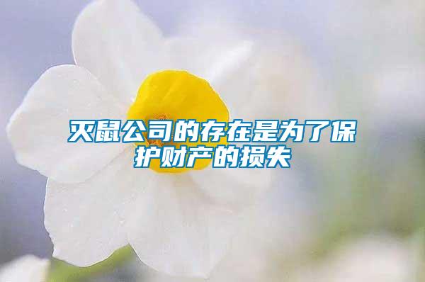 滅鼠公司的存在是為了保護財產的損失