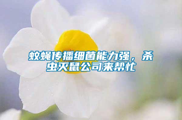 蚊蠅傳播細菌能力強，殺蟲滅鼠公司來幫忙