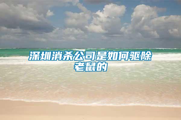 深圳消殺公司是如何驅除老鼠的