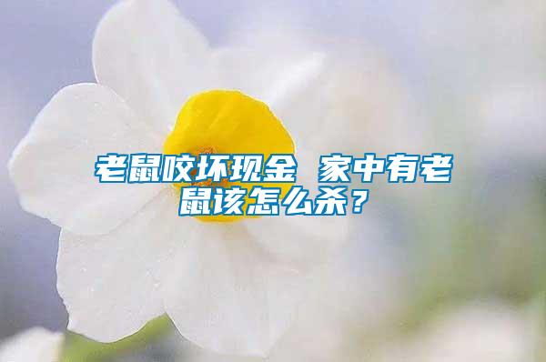 老鼠咬壞現金 家中有老鼠該怎么殺？