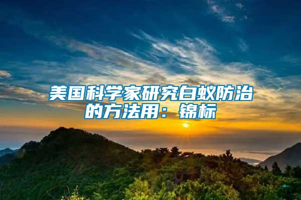 美國科學家研究白蟻防治的方法用：錦標