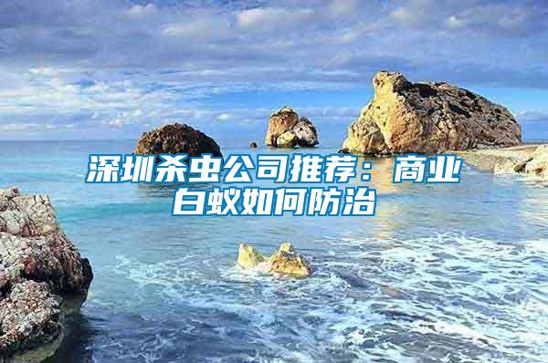 深圳殺蟲公司推薦：商業白蟻如何防治