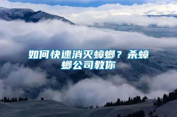 如何快速消滅蟑螂？殺蟑螂公司教你