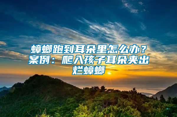 蟑螂跑到耳朵里怎么辦？案例：爬入孩子耳朵夾出爛蟑螂