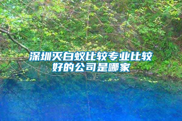 深圳滅白蟻比較專業比較好的公司是哪家