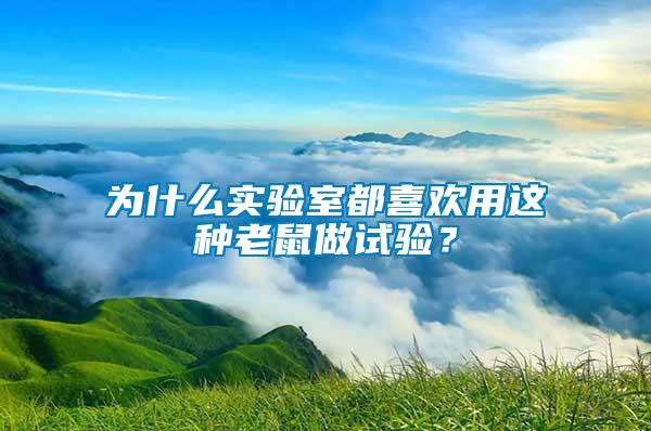 為什么實驗室都喜歡用這種老鼠做試驗？