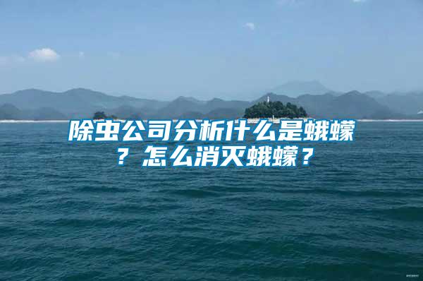 除蟲公司分析什么是蛾蠓？怎么消滅蛾蠓？