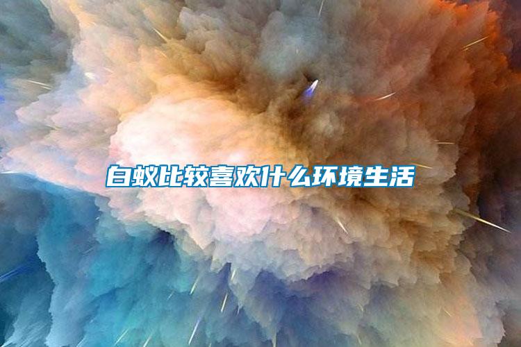 白蟻比較喜歡什么環境生活