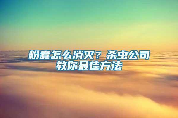 粉蠹怎么消滅？殺蟲公司教你最佳方法